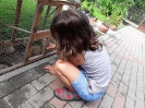 20190620_51