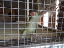 20190620_55