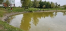 Horgászverseny