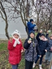 Madarak fája